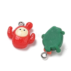 Süße Anhänger aus undurchsichtigem Harz mit Tiermotiven&nbsp;RESI-B044-15P