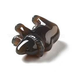 Украшения из натурального бразильского агата&nbsp;DJEW-A008-01