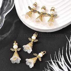 30шт акриловые подвески&nbsp;PALLOY-JF03902