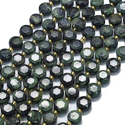 Нити бусин из натуральной зеленой яшмы камбаба G-C116-A126-01