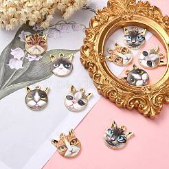 30шт 6 стиля подвески из сплава с эмалью&nbsp;ENAM-CJ0003-55