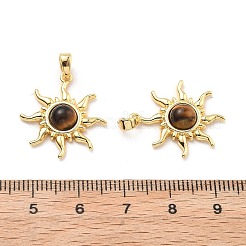 Природных тигровый глаз подвески&nbsp;KK-B129-14G-01