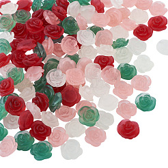 60 Stück 4 Farben mattierte Trabsparent-Harz-Cabochons&nbsp;RESI-TA0005-09