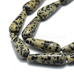 Dalmata naturale perline di diaspro fili&nbsp;G-E576-47