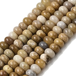 Природные окаменелые коралловые бусы пряди&nbsp;G-A280-A08-01