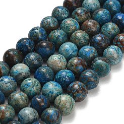 Natur Chrysokoll Perlen Stränge&nbsp;G-C289-B02-10mm