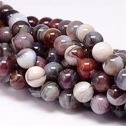 Chapelets de perles en agate naturelle du Botswana, ronde, 10mm, Trou: 1mm, Environ 38 pcs/chapelet, 15.7 pouce