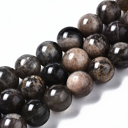 Ciocche di perline nere naturali, tondo, 10mm, Foro: 0.7 mm, circa 39pcs/filo, 15.55 pollice (39.5 cm)