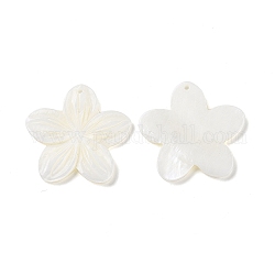 Natural Freshwater Shell Pendants, Flower Charms, Seashell Color, 35.5~36.5x37~38x2.5~3mm, Hole: 1.5mm