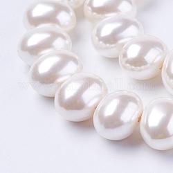 Fili di perline con guiscio, ovale, bianco, 12~13x15~16x12mm, Foro: 1 mm, circa 30pcs/filo, 15.5 pollice