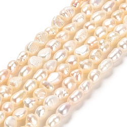 Natürliche Keshiperlen Stränge, zwei Seiten poliert, Klasse 3 a, barocke Perlen, Leinen, 3~4x5~6 mm, Bohrung: 0.5 mm, ca. 63 Stk. / Strang, 14.37''~14.57'' (36.5~37 cm)