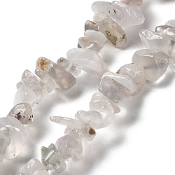 Cordes de perles de calcédoine naturelles, puce, 1~8x5~17x5~8mm, Trou: 0.9~1mm, 30.31~31.50'' (77~80 cm)