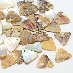 Amuleti a conchiglia akoya naturali a triangolo, pendenti conchiglia in madreperla, grano, 14x15x1mm, Foro: 1 mm, circa 720pcs/scatola