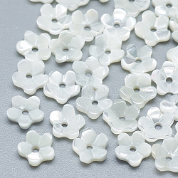 Cuentas de concha natural de blanco, Madre perla cuentas de concha, flor, color de concha, 5.5x6x2mm, agujero: 1 mm