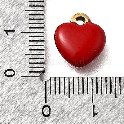 Подвески из нержавеющей стали 304 с эмалью STAS-Z163-24G-01-1