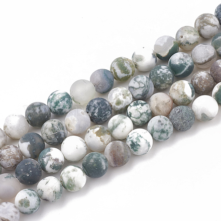 Chapelets de perles en agate d'arbre naturelle G-T106-037-1