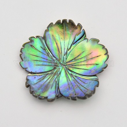 Natural Paua Shell Beads BSHE-O002-01-1