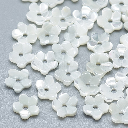 Perles de coquillage blanc naturel SSHEL-S260-053-1