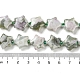 Natürliche Frieden Jade Perlen Stränge G-NH0005-001-5