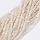 Chapelets de perles de coquillage naturel G-E354-03-2