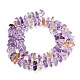 Naturperlen Stränge ametrine&nbsp;G-Z124-A02-01-3