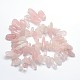 Natural Rose Quartz Beads Strands G-O051-01-2