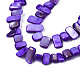 Natural Trochid Shell/Trochus Shell Beads Strands SHEL-S258-082-B02-3