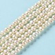 Natural Cultured Freshwater Pearl Beads Strands PEAR-E018-63-2