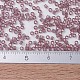 Perline miyuki delica piccole SEED-JP0008-DBS0711-4