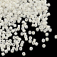 MIYUKI Delica Beads X-SEED-R015-202-1