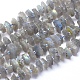Natural Labradorite Beads Strands G-K221-03-1