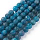Natural Apatite Beads Strands G-F617-02-10mm-1