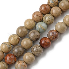 Natürliche aqua terra jasper stränge, Eindruck Jasper, Runde, 4x4 mm, Bohrung: 1 mm, ca. 91 Stk. / Strang, 15 Zoll (38 cm)