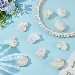 10 шт. подвески из натуральной морской ракушки SSHEL-ME0001-05