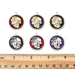 12шт 6 цвета сплава эмалевые подвески&nbsp;FIND-FS0003-81