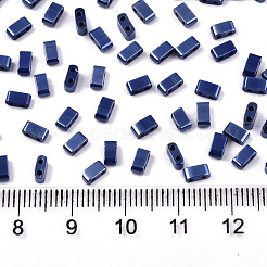 2-дырочные стекло бисер SEED-S031-M-SH128