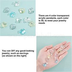 200шт 4 цвета прозрачные акриловые подвески&nbsp;MACR-FH0001-03