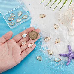 16 шт. подвески в форме слезы из натуральной ракушки пауа и латуни FIND-PH0022-59