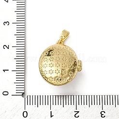 Латунь эмаль Locket подвески&nbsp;KK-F912-04B-G