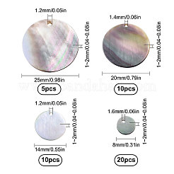 40 шт. 4 стильных черных подвески-ракушки для губ&nbsp;SSHEL-SC0001-15