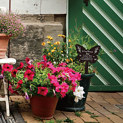 Акриловый садовый кол&nbsp;AJEW-WH0364-003