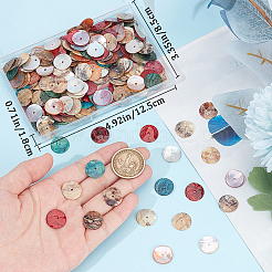 288шт натуральные пресноводные бусины из ракушек BSHE-BBC0001-02