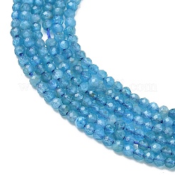 Natürliche Apatit Perlen Stränge&nbsp;G-Z160-A01-2mm