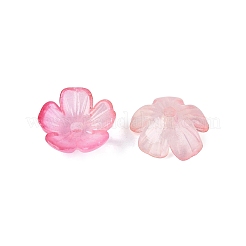 Capuchons de perles en plastique transparent&nbsp;KY-Q005-02A-10