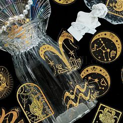 100 шт. прозрачные наклейки для животных с изображением созвездий PW-WG77E72-01