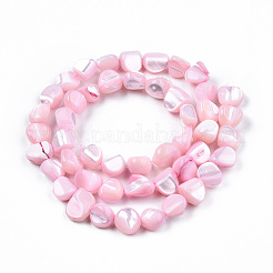 Нити бусин из натуральных трохоидных/трохус ракушек SSHEL-N032-49-A06