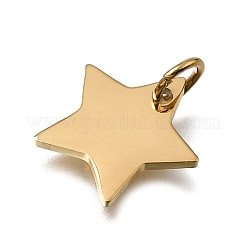 Anhänger aus 304 Edelstahl&nbsp;STAS-E532-07G
