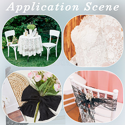 Ленты из полиэстера с кружевной отделкой&nbsp;SRIB-WH220020-058A