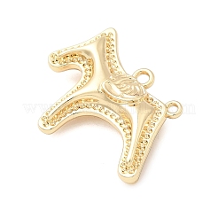 Подвески из сплава  FIND-I066-02G