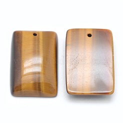 Природных тигровый глаз подвески&nbsp;G-E490-L01